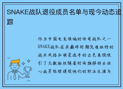 SNAKE战队退役成员名单与现今动态追踪